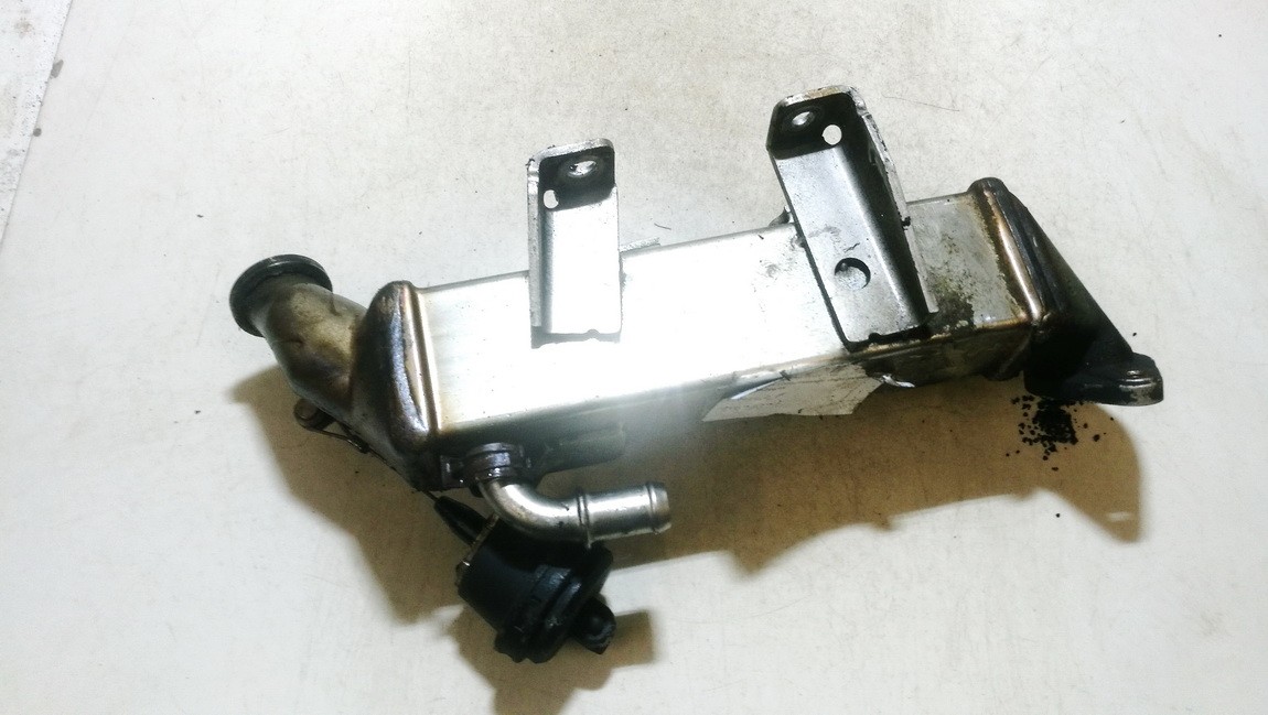 8200620695 Renault Laguna 2008 EGR Cooler (exhaust gas cooler)