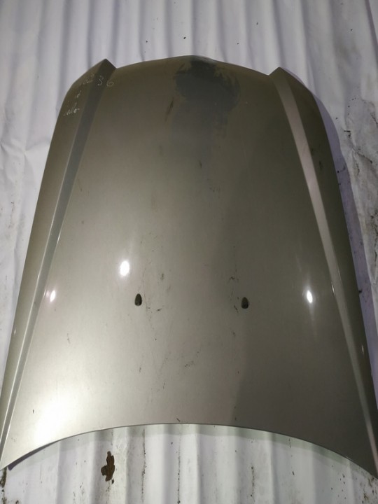 PILKAS Fiat Stilo 2002 Maski (Pokrywy silnika)