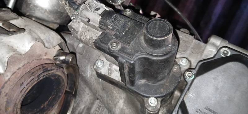 03G131501 Volkswagen Golf Plus 2006 EGR Valve Exhaust Gas - Thumbnail 2