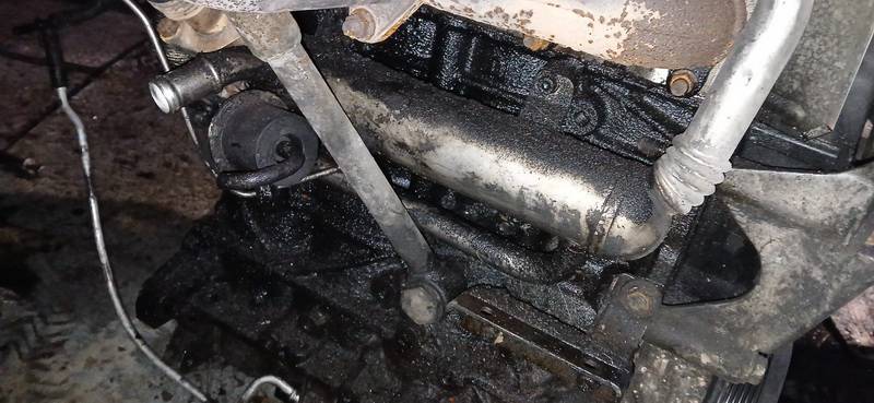 03G131512AD Volkswagen Golf Plus 2006 EGR Cooler (exhaust gas cooler)