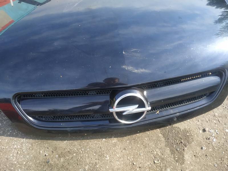 Opel Signum 2003 Priekines groteles P.