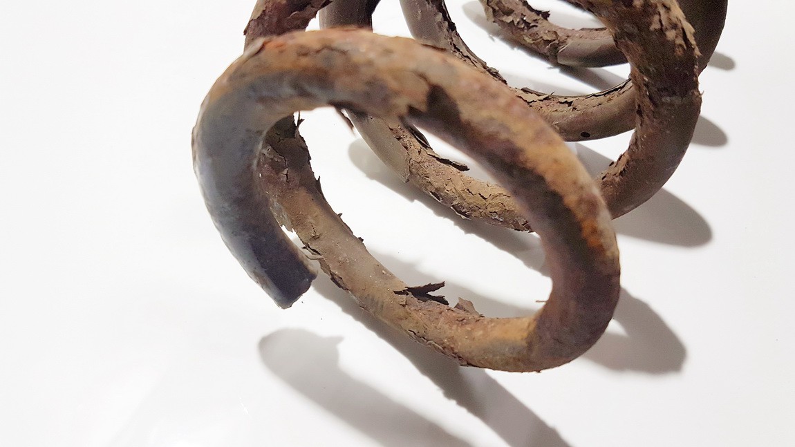 Toyota RAV-4 2008 Amortyzator sprężynowy tył - Thumbnail 2