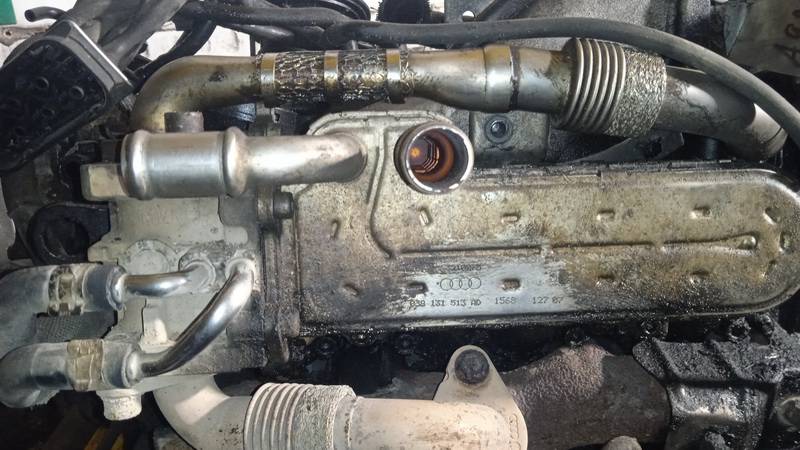 038131513AD Seat Toledo 2009 Chłodnica EGR (chłodnica spalin EGR)