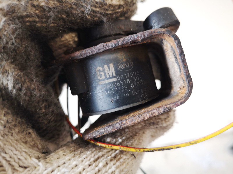 0837596 6PM00851830, 24417125 Xenon Headlamp Leveling Level Sensor