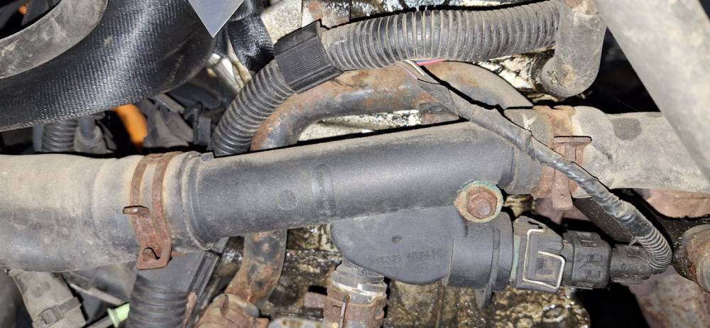 Audi A3 1997 Thermostat Kühlmittel Kühlwasser