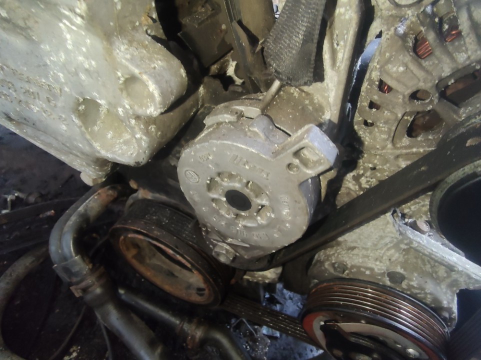 03G903315C Volkswagen Touran 2007 Napinacz paska (napinacz paska rozrządu) - Thumbnail 3