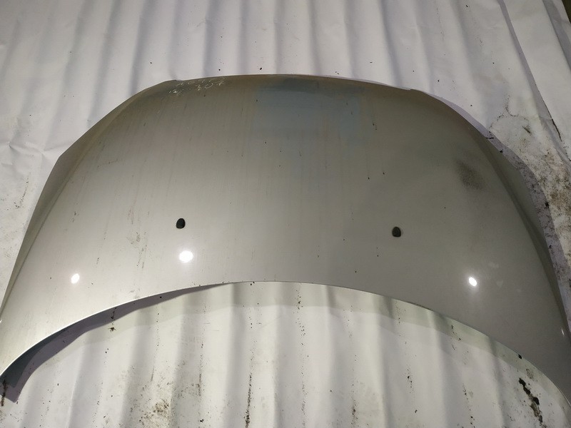 PILKAS Peugeot 307 2005 Motora pārsegi