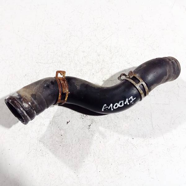 Nissan Quest 2004 Wąż wodny