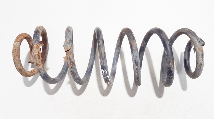 Skoda Octavia 1999 Spring - REAR