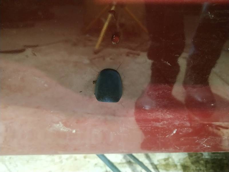 Volvo XC 70 2008 pompe de liquide essuie-glace - Thumbnail 2