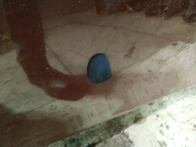 Volvo XC 70 2008 pompe de liquide essuie-glace - Thumbnail 2