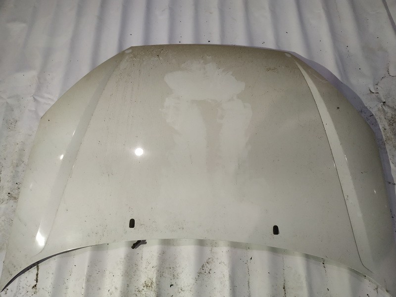 BALTAS Ford Focus 2001 capot