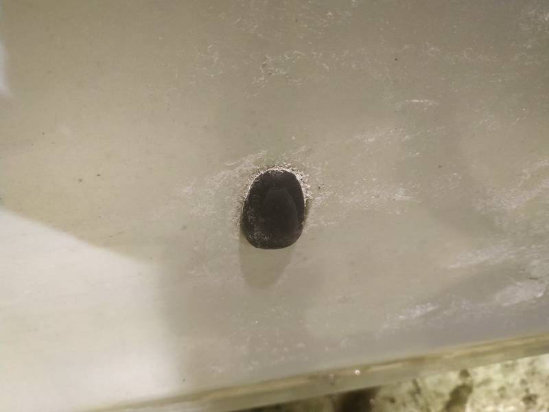 Nissan Almera Tino 2003 Windscreen Washer Fluid Jet - Thumbnail 2