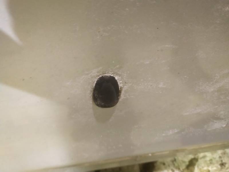 Nissan Almera Tino 2003 Windscreen Washer Fluid Jet