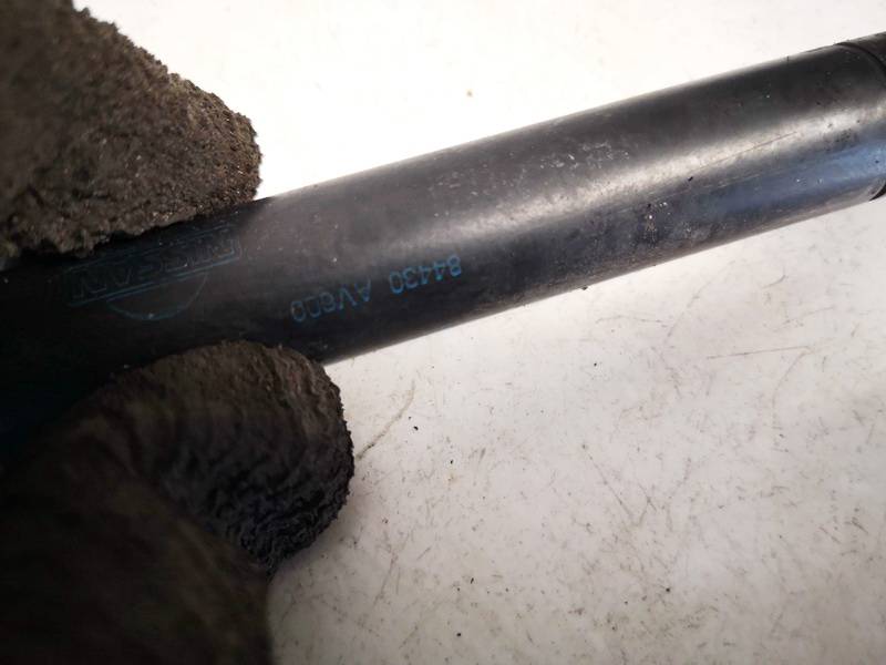 84430AV600 Nissan Primera 2003 Trunk Luggage Shock Lift Cylinder, Gas Pressure Spring - REAR - Thumbnail 3