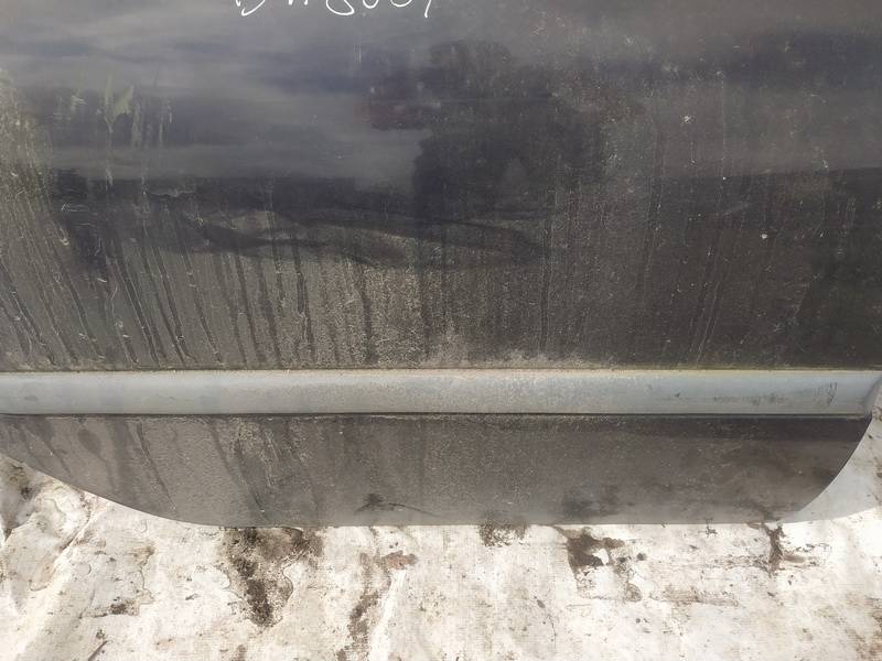 Renault Laguna 1996 Durvju ārējais molding - AIZMUGURE PA LABI