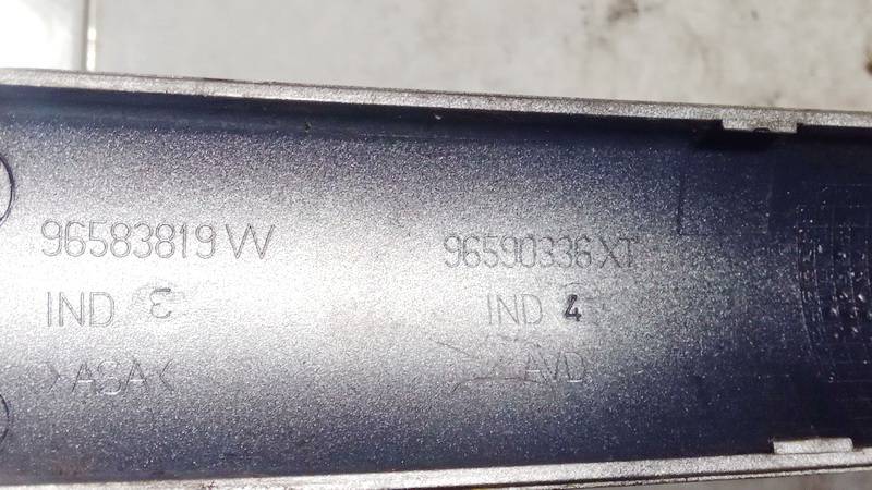 96583819 Renault Scenic 2003 Salono apdaila (plastmases) - Thumbnail 3