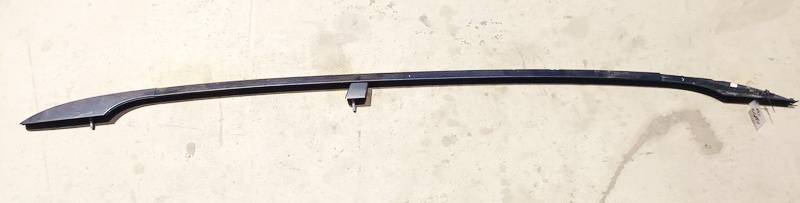 Volkswagen Passat 2005 Stogo ragas desinys