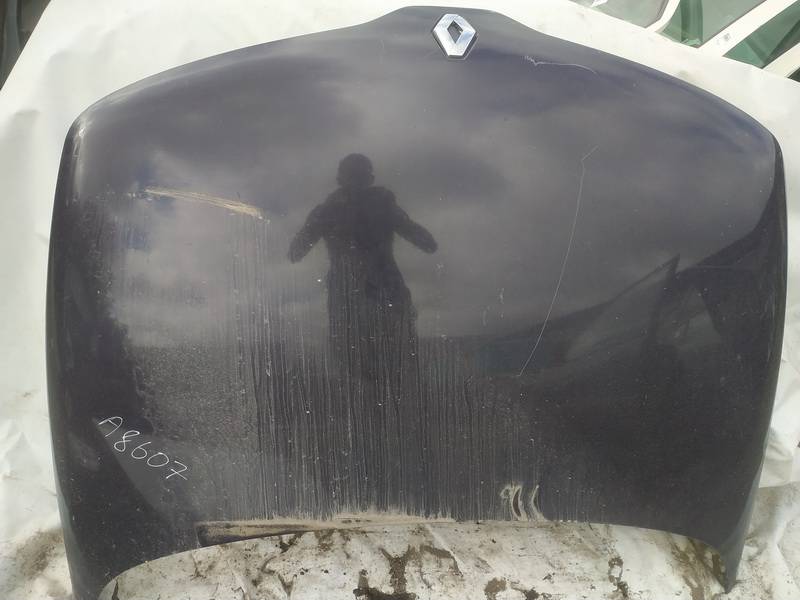 VIOLETINIS Renault Laguna 1996 Kapotas (Variklio dangtis)