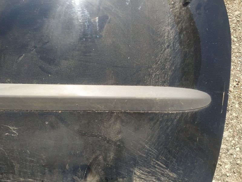 Chrysler Voyager 2002 Molding door - FRONT RIGHT - Thumbnail 3