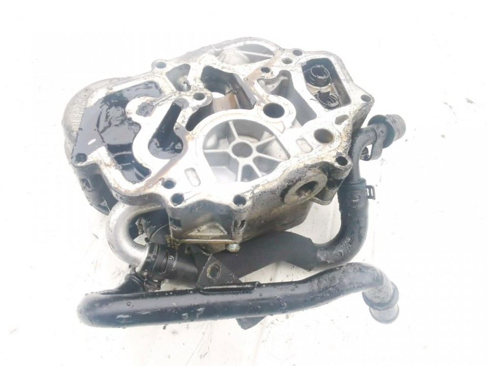 659971 Audi A6 2006 Eļļas filtra korpuss - Thumbnail 3