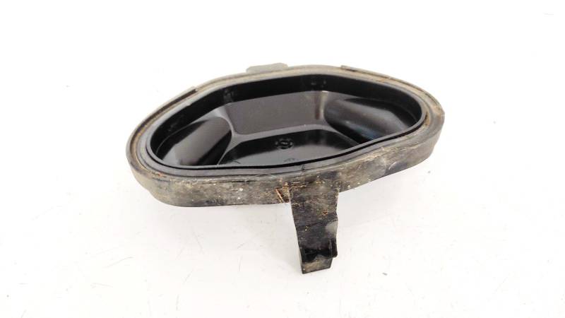 15619200 Opel Signum 2003 Luktura spuldzes putekļu vāciņš - Thumbnail 2