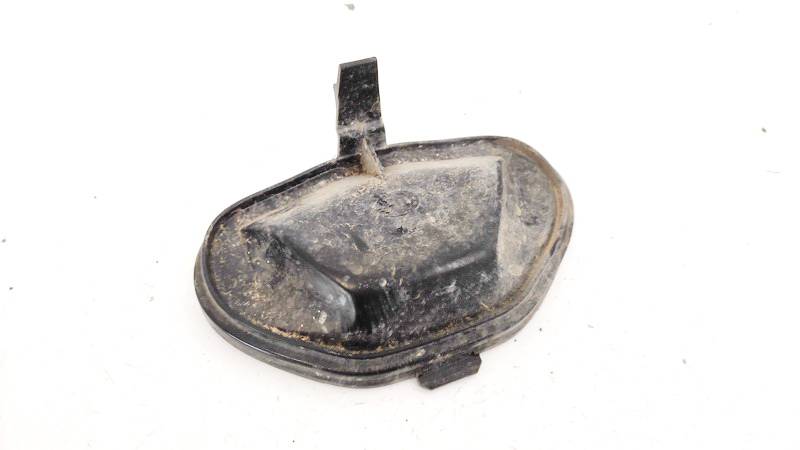 15619200 Opel Signum 2003 Luktura spuldzes putekļu vāciņš