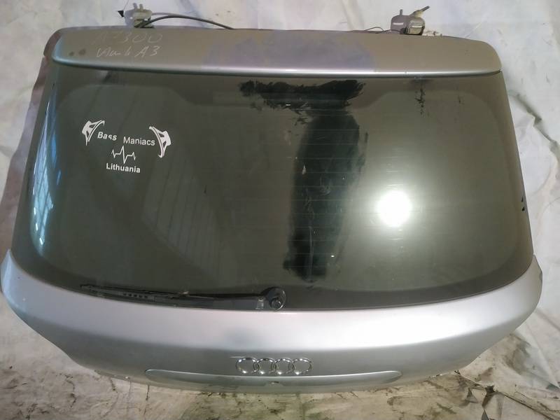 PILKAS Audi A3 1997 Hood - REAR