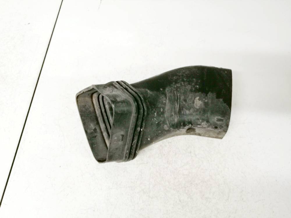 13717798876 BMW 3-Series 2011 Oro slanga