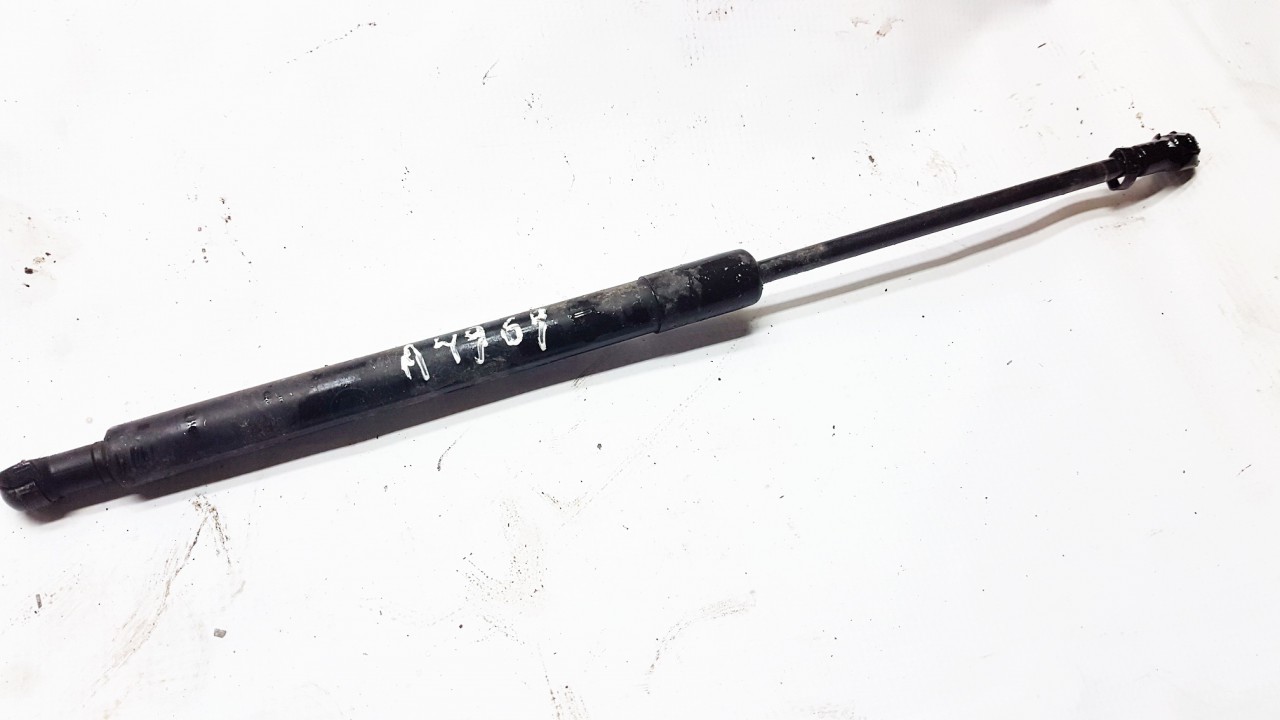 6952TQ0330N BMW 3-Series 2008 Hood Support (strut hood) - FRONT