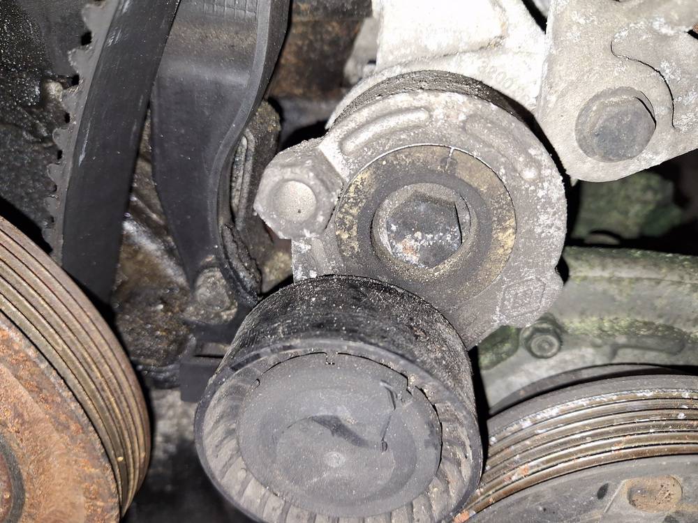 Renault Modus 2006 Napinacz paska (napinacz paska rozrządu)