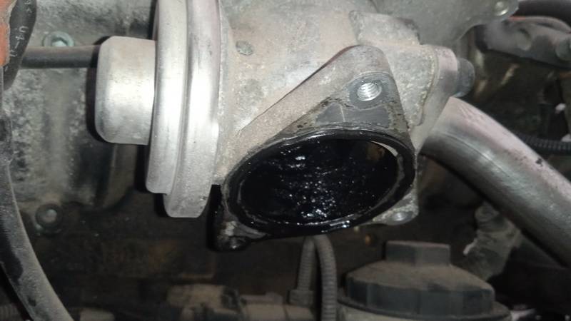 038129637D Skoda Octavia 2005 EGR Valve Exhaust Gas - Thumbnail 2