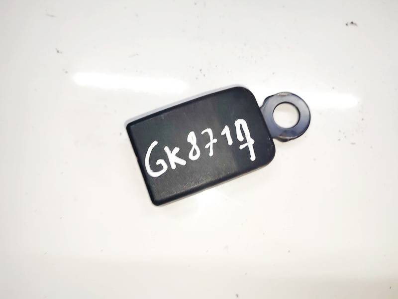 Renault Espace 2002 Saugos dirzo sagtis (laikiklis) G.K.