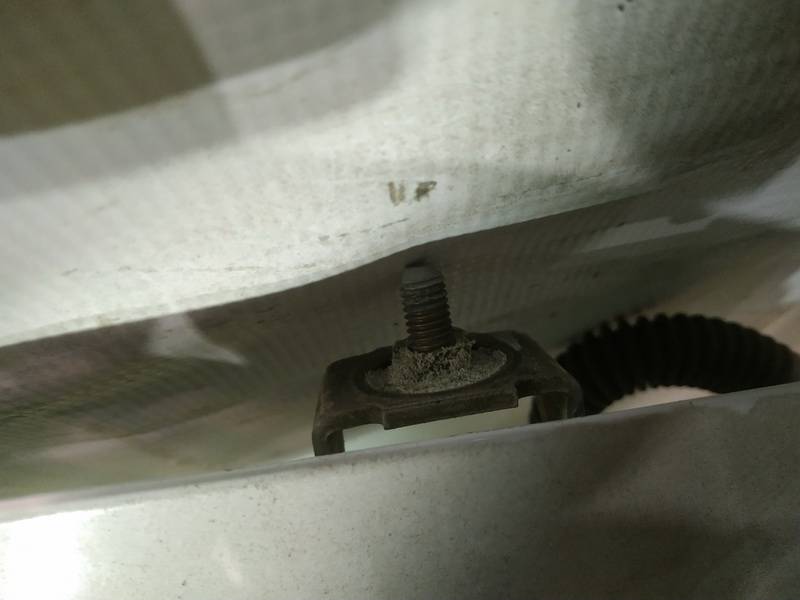 Renault Laguna 2004 Galinio Dangcio vyris G.D. (kapoto)