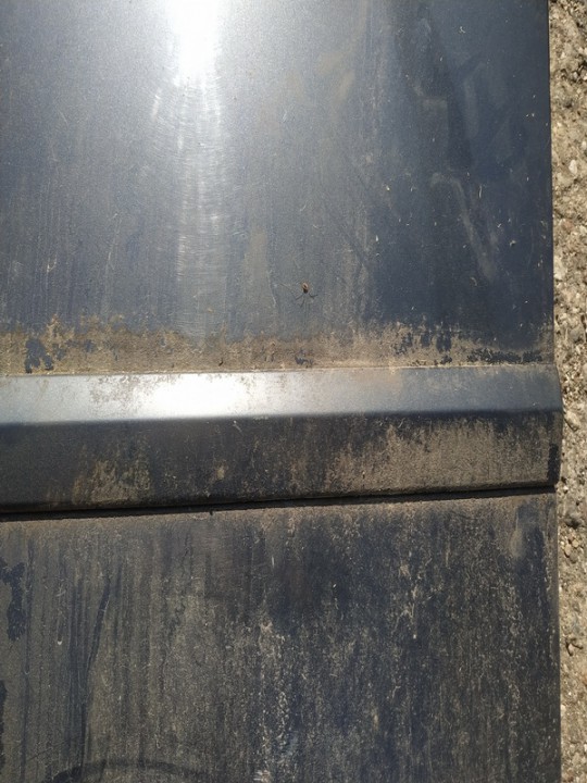 Renault Vel Satis 2003 Durvju ārējais molding - PRIEKŠA PA KREISI - Thumbnail 2