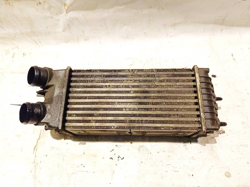 9645965180 Citroen Berlingo 2007 Intercooler radiator - engine cooler fits charger
