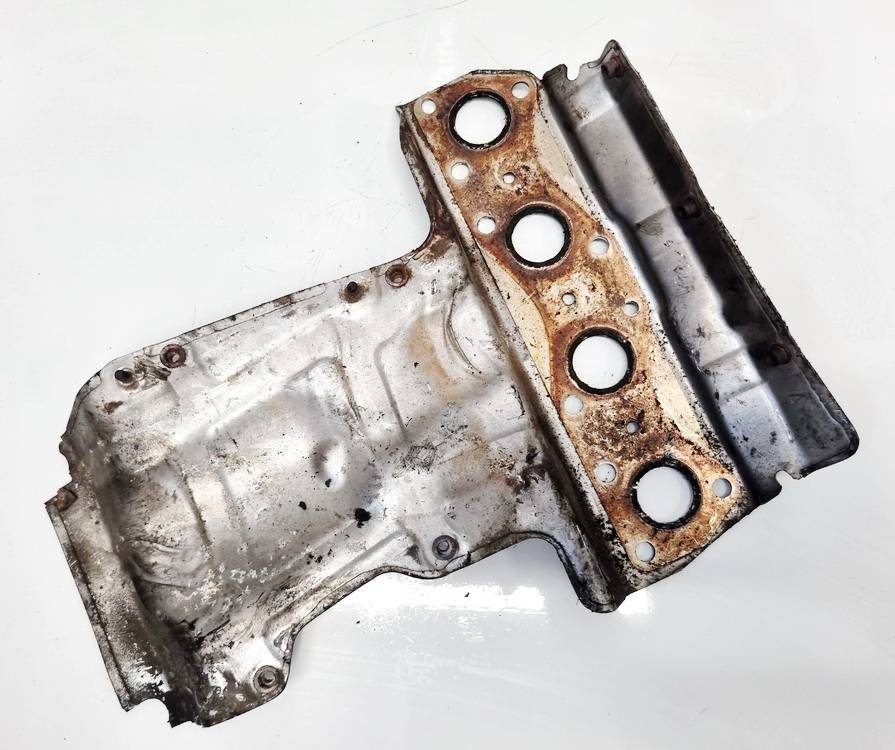 V75631118003 Peugeot 207 2009 Kolektora aizsargs