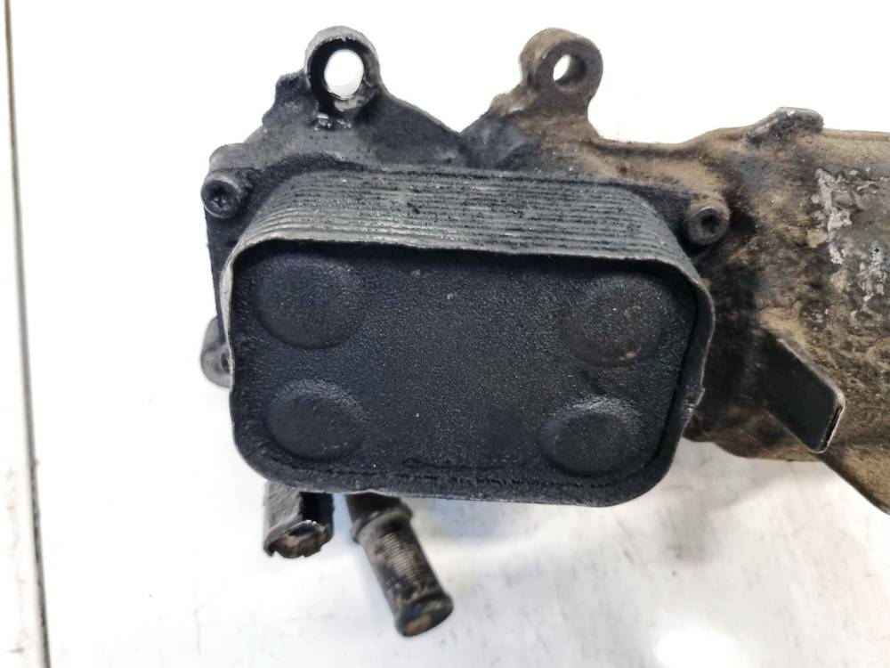 Ford Galaxy 2009 Радиатор масляный