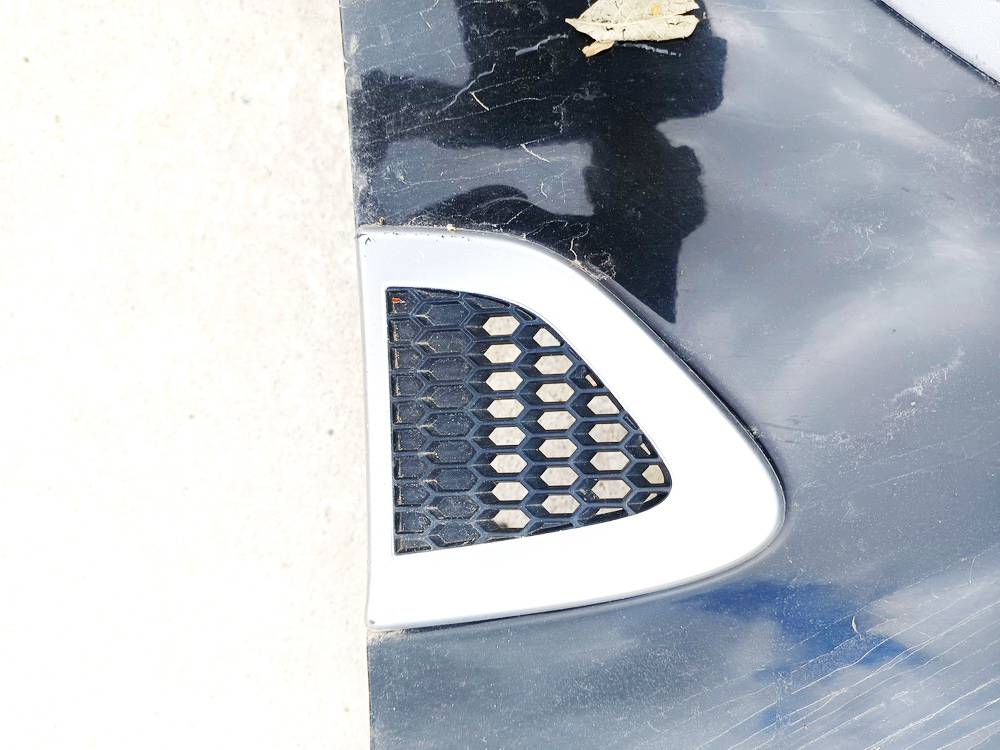 Chevrolet Captiva 2007 Bampera moldings - PRIEKŠA PA KREISI