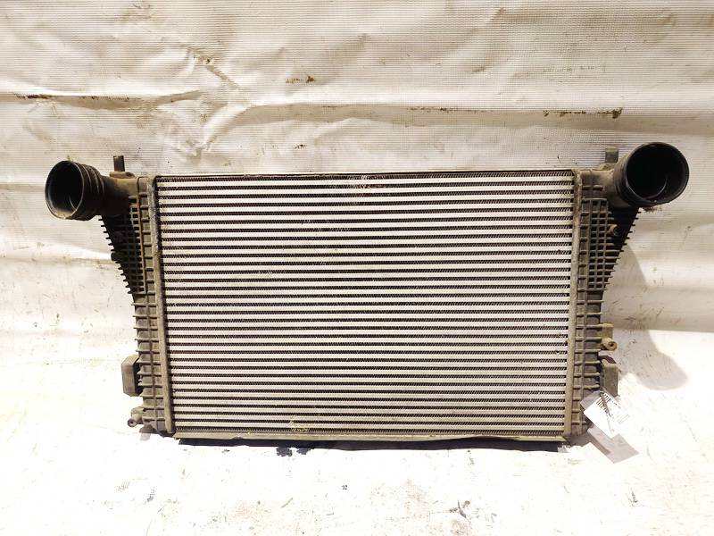 Skoda Octavia 2006 Interkulera radiators