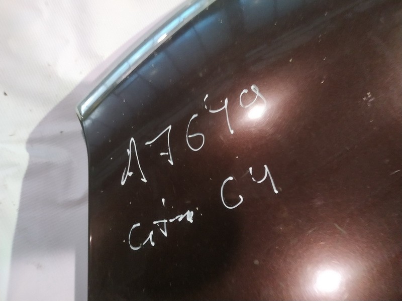 VYSNINIS Citroen C4 Grand Picasso 2007 Hood - Thumbnail 3