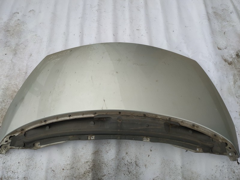 PILKAS Renault Espace 2004 Motora pārsegi