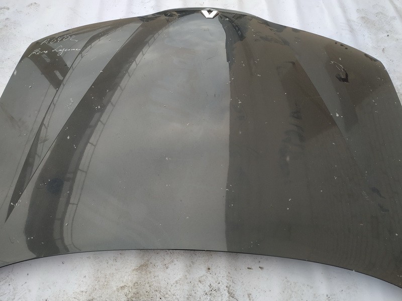 PILKAS Renault Laguna 2002 Kapotas (Variklio dangtis) - Thumbnail 2