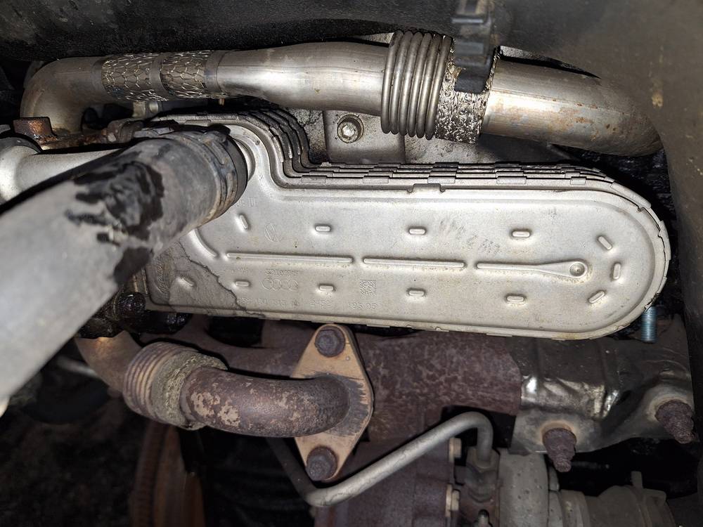 038131513AD Volkswagen Passat 2006 Chłodnica EGR (chłodnica spalin EGR)