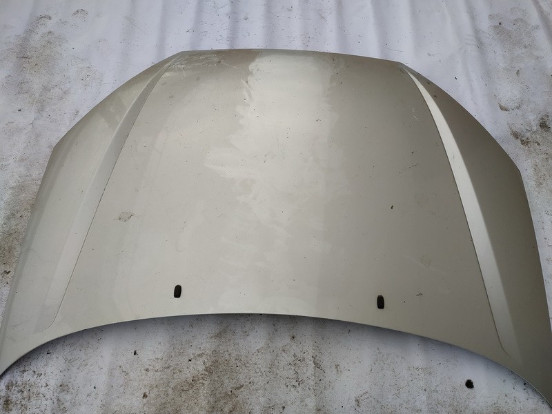 PILKAS Ford Focus 2001 Hood