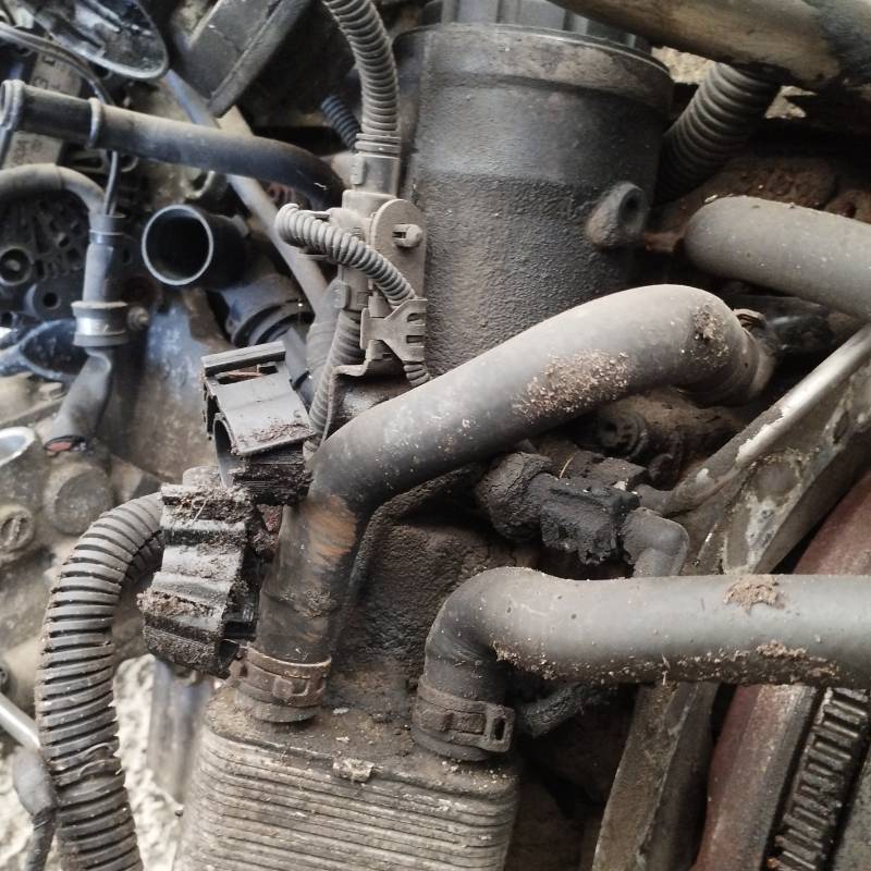 Volkswagen Passat 2006 Oil filter adapter (bracket - flange, Oil Filter Housing) - Thumbnail 3