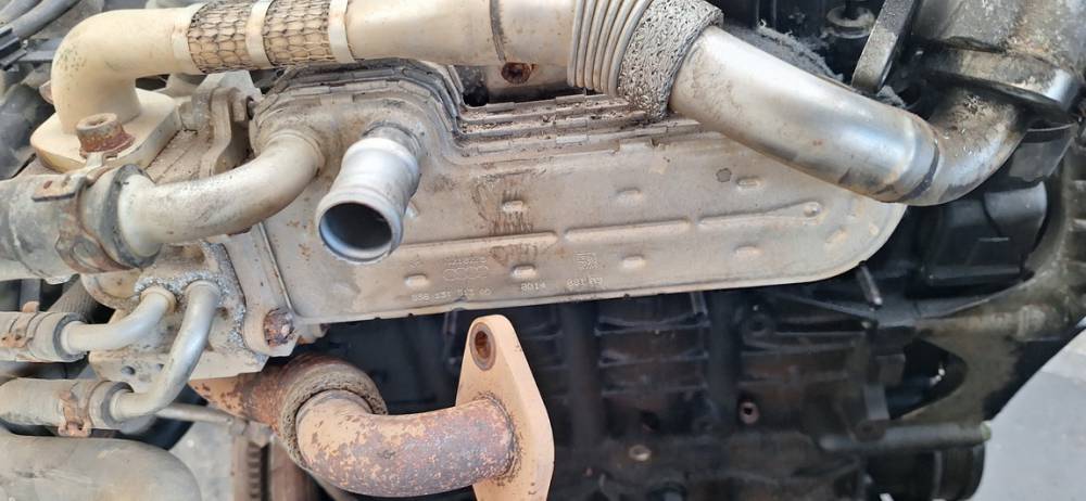 038131513AD Volkswagen Golf Plus 2005 EGR Cooler (exhaust gas cooler) - Thumbnail 2