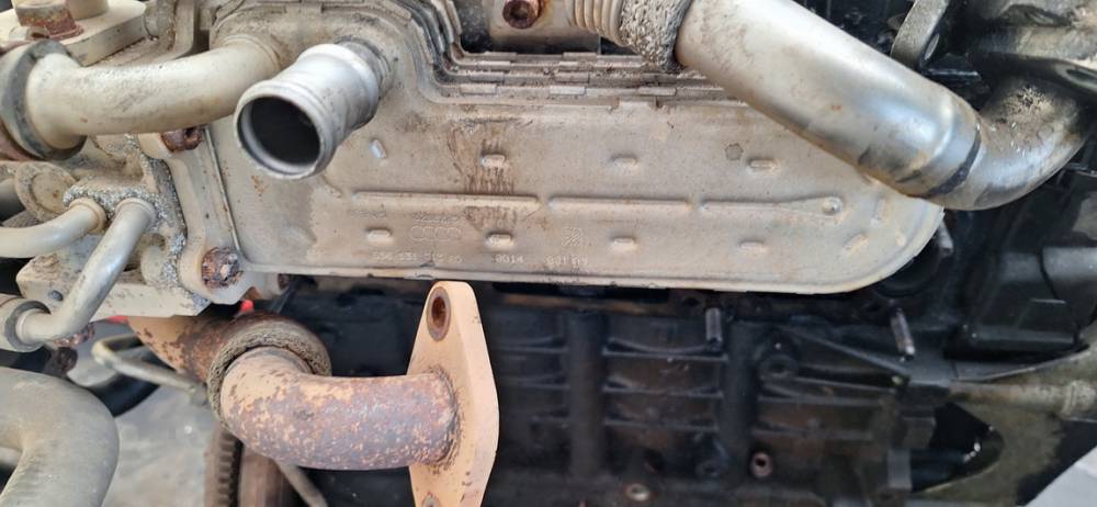 038131513AD Volkswagen Golf Plus 2005 Chłodnica EGR (chłodnica spalin EGR)