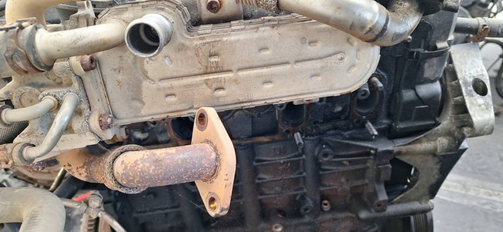 038131513AD Volkswagen Golf Plus 2005 EGR Cooler (exhaust gas cooler) - Thumbnail 3