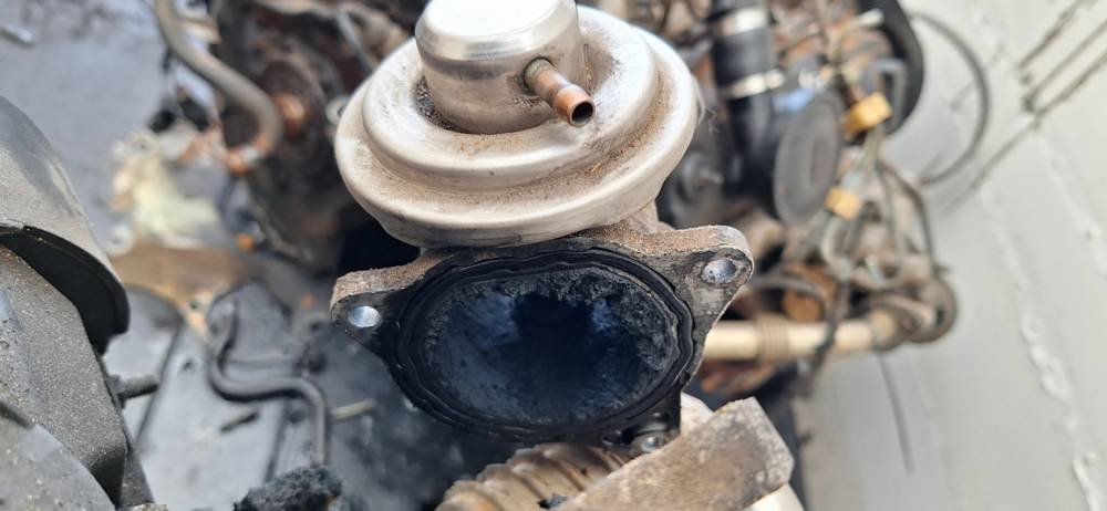 038131501AF Volkswagen Golf Plus 2005 EGR Valve Exhaust Gas